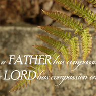 Living a Godly Life in an Ungodly Culture